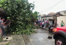 Autoridades atienden emergencias por fuerte lluvia en Cartagena alcaldia-de-cartagena