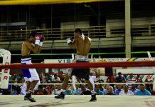 IDER y Alcaldía Mayor reactivan el boxeo profesional en Cartagena ider-cartagena