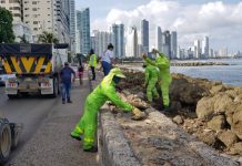Cartagena participó del Día Mundial de la Limpieza alcaldia-de-cartagena