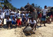 Jornada de liberación de tortugas en el Archipiélago de San Bernardo archipielago-de-san-bernardo