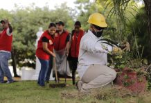 Continuarán jornadas de mantenimiento en el Parque Centenario