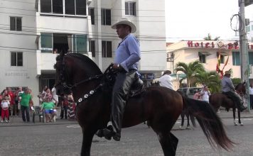 Concejo Distrital aprobó reglamentación de cabalgatas en Cartagena cabalgatas-en-Cartagena