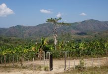 URT hace seguimiento a procesos jurídicos de restitución de tierras en Bolívar unidad-restitucion-de-tierras
