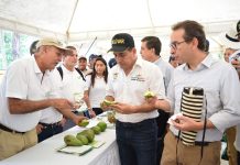 Realizan primer ‘Taller del Campo’ en El Carmen de Bolívar taller-del-campo