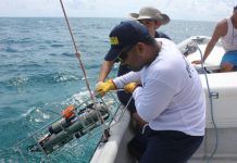 Dos investigadores de la Escuela Naval de Cartagena en expedición Seaflower escuela-naval-de-cadetes-almirante-padilla