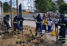 Aseo Urbano de la Costa continúa erradicando basureros satélites en Cartagena aseo-urbano-Cartagena