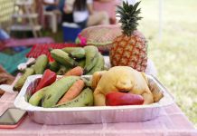 Parque Espíritu del Manglar acogerá el primer Gran Mercado Campesino ‘Bolívar Sí Avanza’ gobernacion-de-bolivar