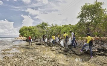 Recogen 600 kilos de residuos durante jornada de limpieza en Playetas gobernacion-de-bolivar