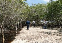 Concejo Distrital se pronuncia sobre invasiones y tala de mangles en Cartagena