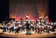 Convocatoria abierta para integrar la Orquesta Sinfónica de Cartagena Fundación-Salvi
