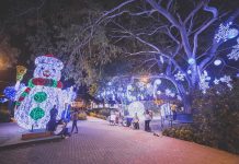 Cuatro millones de luces LED conformarán el alumbrado navideño de Cartagena