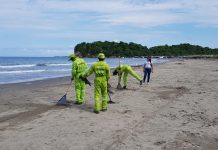Distrito realizó operativo integral de aseo y limpieza en Manzanillo del Mar