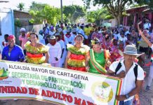 Adultos mayores de Cartagena le dieron la bienvenida a la Navidad Navidad-Cartagena