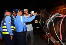 DATT someterá a revisión técnica todos los coches turísticos de Cartagena DATT-Cartagena