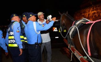 DATT someterá a revisión técnica todos los coches turísticos de Cartagena DATT-Cartagena