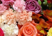 Flores colombianas para enamorar…