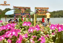 Chambaculeras cartageneras, primas hermanas de trajinera mexicanas