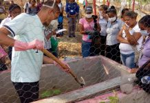 Electricaribe impulsa los patios productivos en Turbana