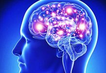 Fundesicar arranca seminario ¨Una mirada a la educación desde las neurociencias¨