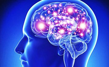 Fundesicar arranca seminario ¨Una mirada a la educación desde las neurociencias¨